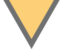 triangle icon